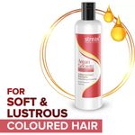 Buy Streax Professional Argan Secrets Colour Protect Shampoo (250 ml) - Purplle