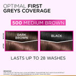 Buy L'Oreal Paris Casting Creme Gloss Hair Color With Glycolic Gloss Complex | Mini | Shade 500 - Medium Brown | 20ml + 20g + 5g - Purplle