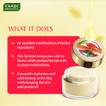 Buy Vaadi Herbals Assorted Pack of 5 Lip Balms (10 g x 5) - Purplle