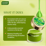 Buy Vaadi Herbals Assorted Pack of 5 Lip Balms (10 g x 5) - Purplle