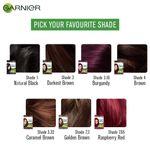 Buy Garnier Color Naturals Creme Riche Sachet, Shade 3.16, Burgundy - Purplle