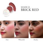 Buy Just Herbs Lip and Cheek Tint ( Pack of 2): Rosy Lips - Pale Pink and Brick Red - Purplle