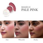 Buy Just Herbs Lip and Cheek Tint ( Pack of 2): Natural Blush - Pale Pink and Soft Nude - Purplle