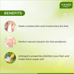 Buy Vaadi Herbals Foot Cream- With Clove Oil & Sandalwood (500 g) - Purplle