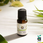 Buy Anveya Australian Tea Tree Essential Oil, 100% Natural & Pure, 15 ml, For Acne, Face, Skin & Hair - Purplle