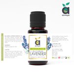 Buy Anveya Bulgarian Lavender Essential Oil, 100% Natural, 15ml For Beauty, Diffuser, Aroma & Calm Sleep - Purplle