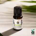 Buy Anveya Bulgarian Lavender Essential Oil, 100% Natural, 15ml For Beauty, Diffuser, Aroma & Calm Sleep - Purplle