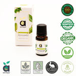 Buy Anveya Peppermint Essential Oil, 100% Natural, 15 ml, For Hair, Skin, Face, Steam, Cold & Diffuser - Purplle