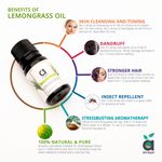 Buy Anveya Lemongrass Essential Oil, 100% Natural, 15 ml, For Hair, Skin, Diffuser & Refreshing Aroma - Purplle