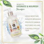 Buy Anveya Hydrate & Nourish Shampoo, 250ml, For Dry, Damaged, Frizzy Hair & Hair Fall. No Nasties. - Purplle
