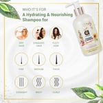 Buy Anveya Hydrate & Nourish Shampoo, 250ml, For Dry, Damaged, Frizzy Hair & Hair Fall. No Nasties. - Purplle