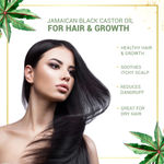 Buy Anveya Jamaican Black Castor Oil, Cold-Pressed Organic, 100 ml - Hair Growth, Beard, Eyebrows & Skin - Purplle