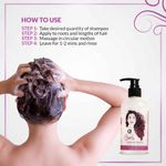 Buy Anveya Curls Shampoo & Hair Mist Combo: For Bouncy, Tangle-Free, Curly Hair - Purplle
