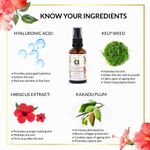 Buy Anveya Advanced Vitamin C Facial Serum & Vit C Skin Rejuvenation Cream For Anti-Aging & Pigmentation - Purplle