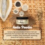 Buy STAMIO Pure Seedless Amla Powder for Hair Growth, Indian Gooseberry (Amla) For Hair Mask/Pack (50gm, Pack of 3) - Purplle
