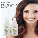 Buy KT Professional Advanced Hair Care Extreme Coconut Repair Conditioner - 250 ml - Purplle