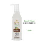 Buy KT Professional Advanced Hair Care Detox & Refresh Conditioner- 250 ml - Purplle