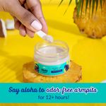 Buy Plum BodyLovin' Hawaiian Rumba De-odorizing Pit Cream (50 gm) - Purplle