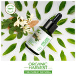 Buy Organic Harvest Vitamin B Organic Face Serum with Niacinamide and Spinach, 30 ml, Suitable for Oily and Combination Skin Types, Removes Appearance of Acne and Pimples - Purplle