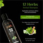 Buy Globus Naturals 12 Herbs Hair Growth Shampoo For Deep Nourishment | Healthy Shine| Ayurvedic Shampoo|All Hair Types|No Parabens| No Sulphate| 250 ml - Purplle