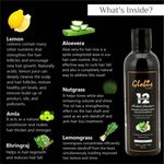 Buy Globus Naturals 12 Herbs Hair Growth Shampoo For Deep Nourishment | Healthy Shine| Ayurvedic Shampoo|All Hair Types|No Parabens| No Sulphate| 250 ml - Purplle