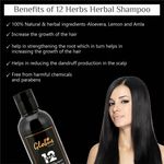 Buy Globus Naturals 12 Herbs Hair Growth Shampoo For Deep Nourishment | Healthy Shine| Ayurvedic Shampoo|All Hair Types|No Parabens| No Sulphate| 250 ml - Purplle
