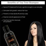 Buy Globus Naturals Tea Tree Daily Purifying Shampoo For Dandruff Prone Hair, Itchy & Oily Scalp Enriched with Bhringraj, Amla,Aloevera|No Parabens| No Sulphate| 250 ml - Purplle