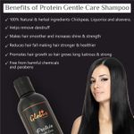 Buy Globus Naturals Protein Gentle Care Hair Growth Shampoo Enriched with Liquorice,Bhringraj,Neem,Chickpeas,& Aloe vera||Promotes Hair Growth & Strengthen Hair follicle |No Parabens|250 ml - Purplle