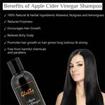 Buy Globus Naturals Apple Cider Vinegar Shampoo For Brilliant Shine & Silky finishEnriched with Aloe vera, Nutgrass & Lemongrass |Promotes hair growth|Maintains scalp ph|No Parabens| No Sulphate| 250 ml - Purplle