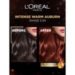 Buy L'Oreal Paris Excellence Fashion - Shade 5.54 Intense Warm Auburn (172 ml) - Purplle