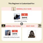 Buy Vedix Customized Hair Fall Control Regimen for Normal/Oily Hair - Normal-Oily Scalp & Wavy Hair - Customized Ayurvedic Hair Care Regimen - 3 Product Kit - Anti Hair Fall Oil Hibiscus + Eclipta - Anti-Hairfall Shampoo - Hair Growth Serum - Purplle