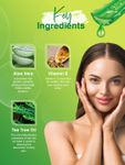 Buy Spantra Aloe Tea Tree Gel (300 ml) - Purplle