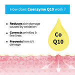 Buy DermDoc 1% Coenzyme Q10 Face Serum (15 ml) - Purplle