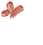 Buy Lotus Makeup PURE COLOR Matte Natural Nude (4.2 g) 702 - Purplle