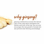 Buy Plum Ginseng Gentle Rinse Shampoo to Control Hair Fall and Promote Hair Growth 300ml - Purplle