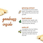 Buy Plum Ginseng Root Nourish Pre-Shampoo Hair Oil to Promote Hair Growth & Control Hair Fall - Purplle