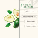 Buy Good Vibes Refreshing Face Wash - Avocado (120 ml) - Purplle