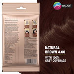 Buy Godrej Expert Easy Shampoo Hair Colour Natural Brown - Pack of 3 - Purplle