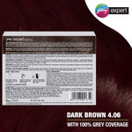 Buy Godrej Expert Creme Dark Brown - Pack of 4 - Purplle