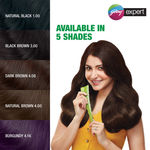 Buy Godrej Expert Creme Dark Brown - Pack of 4 - Purplle