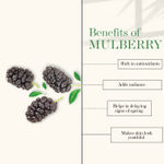 Buy Good Vibes Mulberry Glow Toner | Anti-Ageing, Lightening | No Parabens, No Alcohol, No Sulphates, No Mineral Oil, No Animal Testing (200 ml) - Purplle