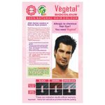 Buy Vegetal Bio Color-Soft Black - Purplle
