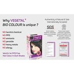 Buy Vegetal Bio Color-Soft Black - Purplle