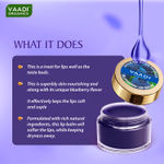Buy Vaadi Herbals Premium 24 Lip Balm Gift Box (Assorted)(10 g x 24) - Purplle