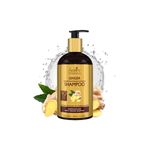 Buy Spantra Ginger Shampoo & Conditioner, 300ml Each (combo of 2) - Purplle