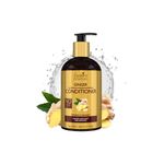 Buy Spantra Ginger Shampoo & Conditioner, 300ml Each (combo of 2) - Purplle