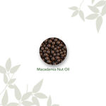 Buy PureSense Macadamia Hand-Poured Body Massage Candle, 200 ml - Purplle