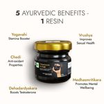 Buy Kapiva Himalayan Shilajit Resin, 20G | Rich In Fulvic Acid | For Strength, Power & Stamina - Purplle