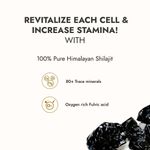 Buy Kapiva Himalayan Shilajit Resin, 20G | Rich In Fulvic Acid | For Strength, Power & Stamina - Purplle
