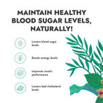 Buy Kapiva Karela Jamun Juice | Natural Juice Made From Fresh Karela And Jamun Seeds | Low Glycemic Index | No Added Sugar - 1 L - Purplle